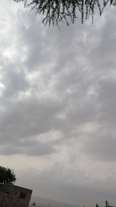 مشاركاتي في أنت الراصد