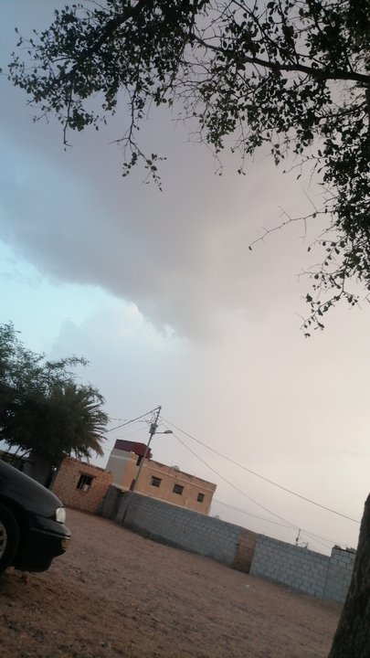 مشاركاتي في أنت الراصد