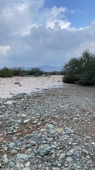 Mes publications Crowdsourcing