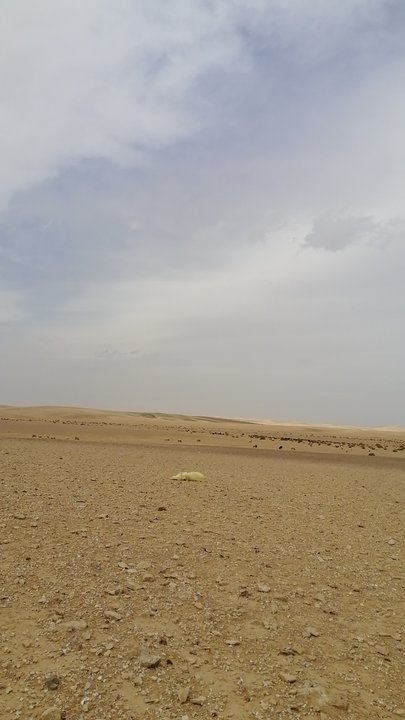 مشاركاتي في أنت الراصد