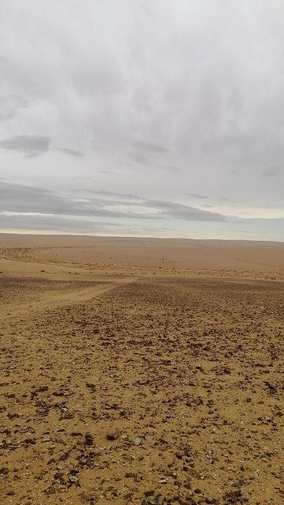 مشاركاتي في أنت الراصد