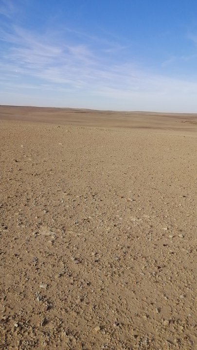 مشاركاتي في أنت الراصد