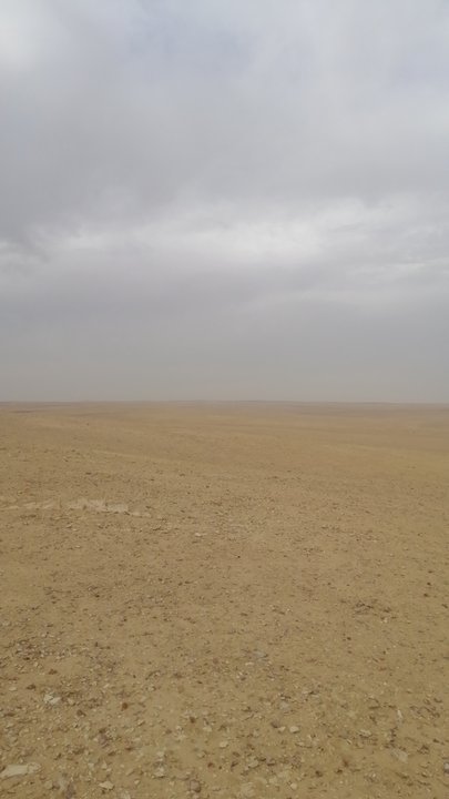 مشاركاتي في أنت الراصد