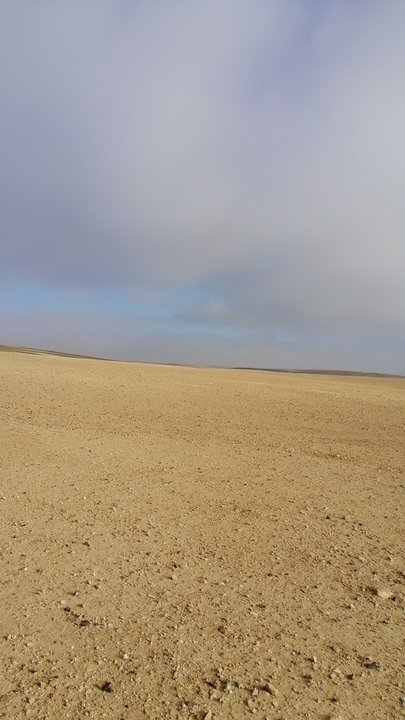 مشاركاتي في أنت الراصد