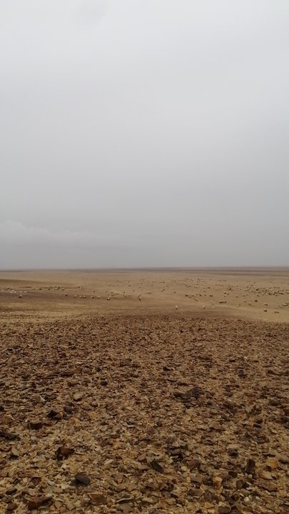 My Crowdsourcing Posts