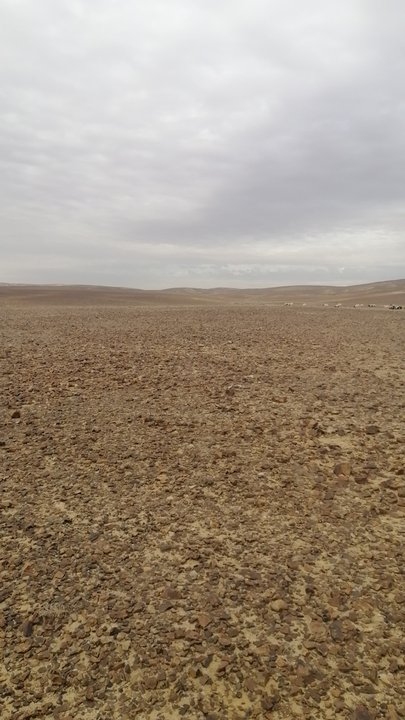 My Crowdsourcing Posts