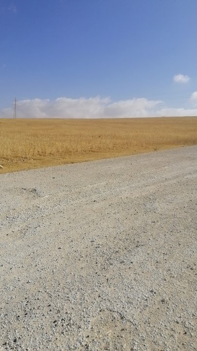 My Crowdsourcing Posts