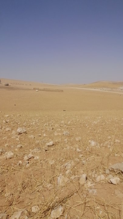 My Crowdsourcing Posts