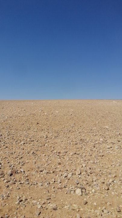 My Crowdsourcing Posts