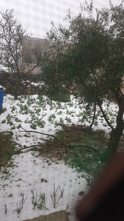 مشاركاتي في أنت الراصد