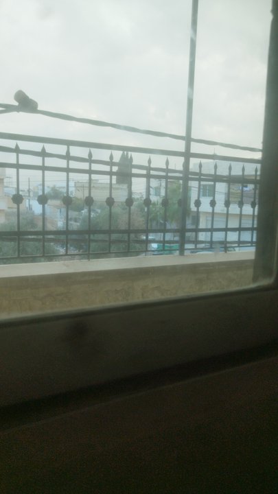 مشاركاتي في أنت الراصد