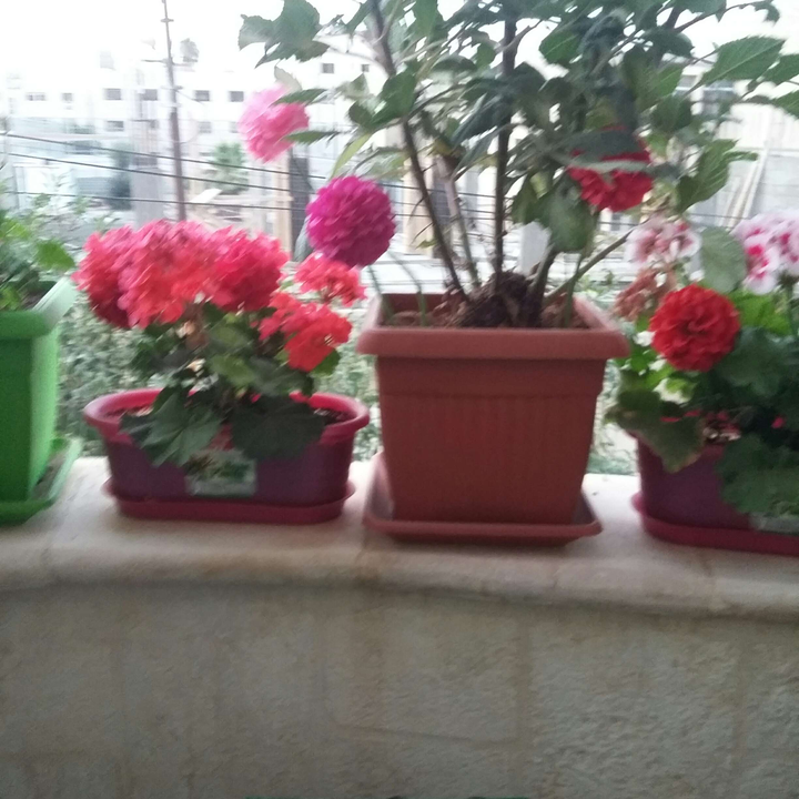 My Crowdsourcing Posts