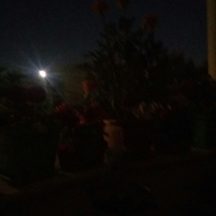 My Crowdsourcing Posts