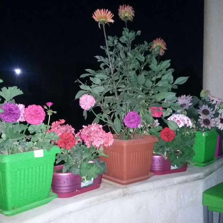 My Crowdsourcing Posts