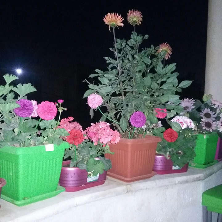 My Crowdsourcing Posts