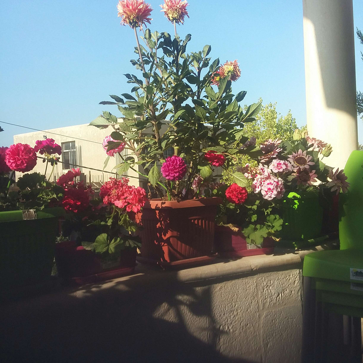 My Crowdsourcing Posts