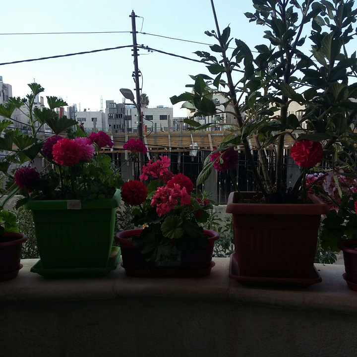 My Crowdsourcing Posts