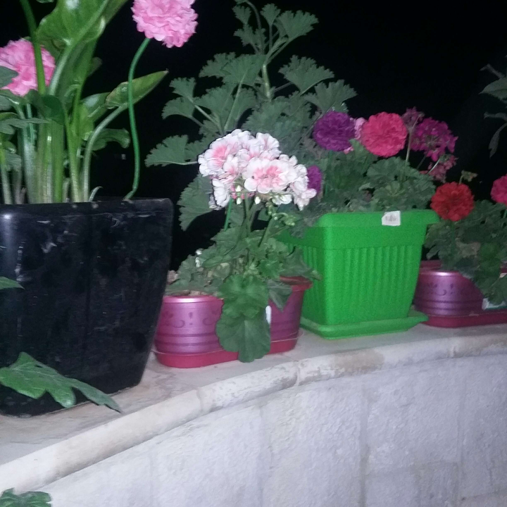 My Crowdsourcing Posts