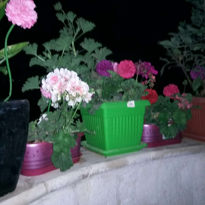 My Crowdsourcing Posts