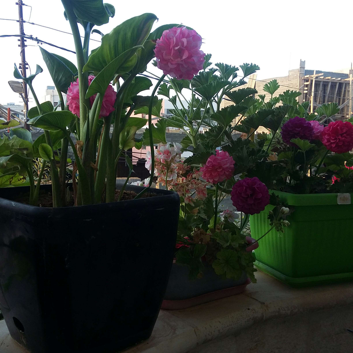 My Crowdsourcing Posts