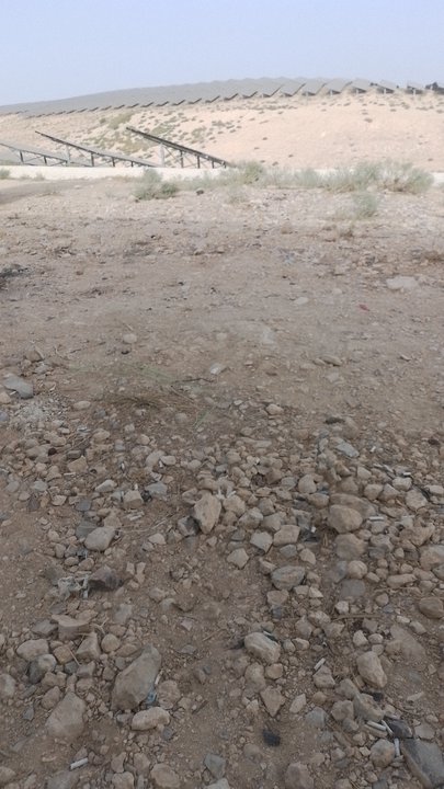 مشاركاتي في أنت الراصد