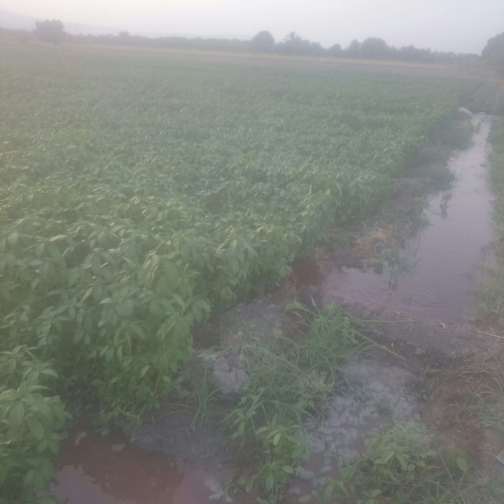 My Crowdsourcing Posts