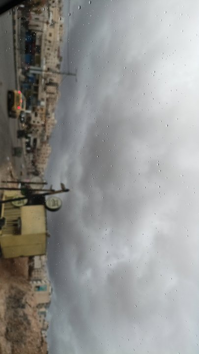 مشاركاتي في أنت الراصد