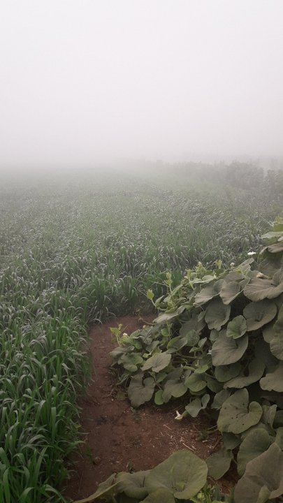 My Crowdsourcing Posts