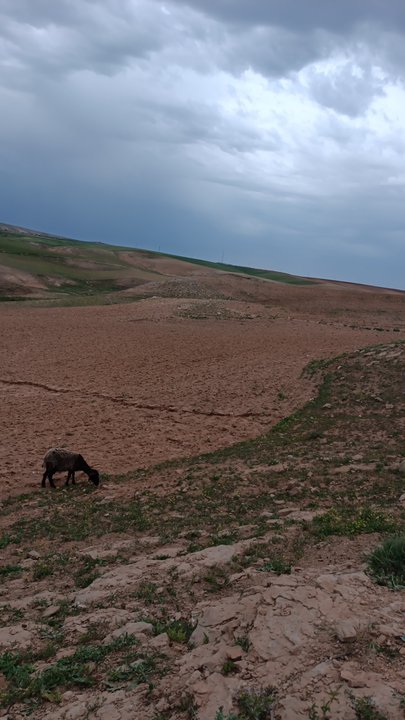 My Crowdsourcing Posts