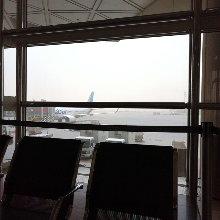 مشاركاتي في أنت الراصد