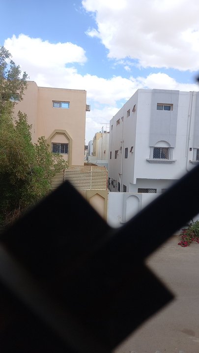 Mes publications Crowdsourcing