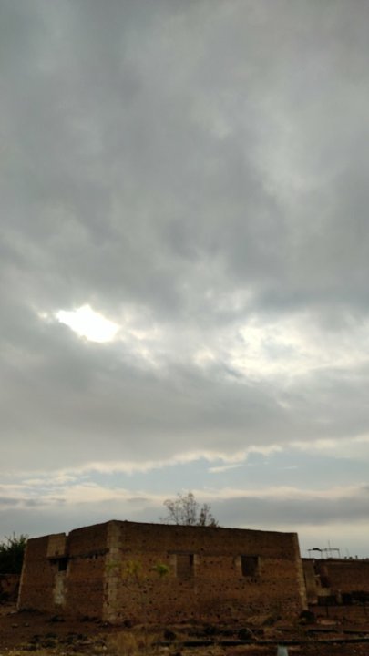 مشاركاتي في أنت الراصد