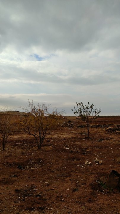 مشاركاتي في أنت الراصد