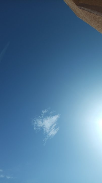 مشاركاتي في أنت الراصد