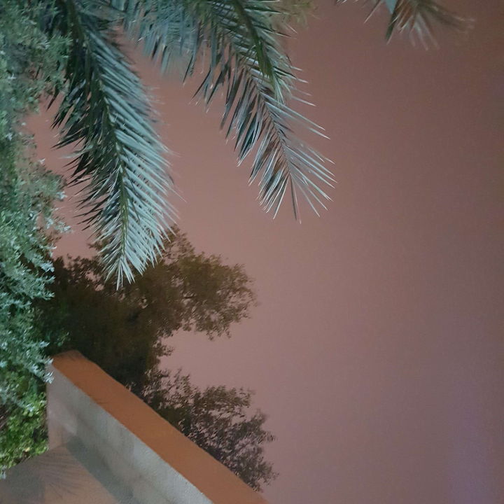 مشاركاتي في أنت الراصد