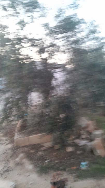 مشاركاتي في أنت الراصد