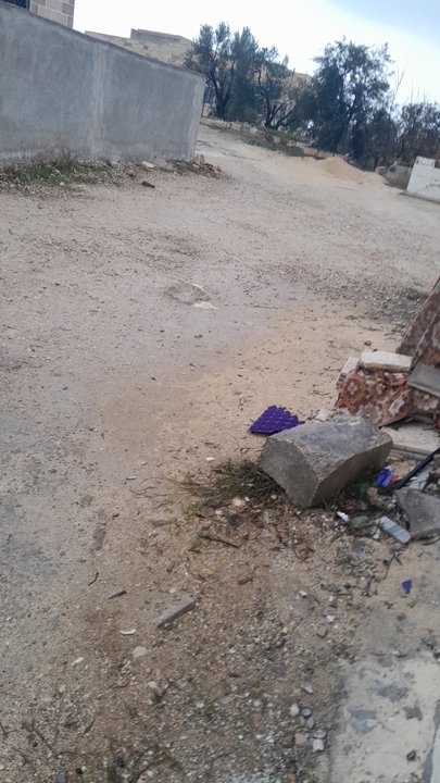 مشاركاتي في أنت الراصد