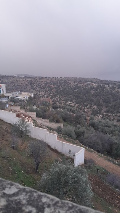 مشاركاتي في أنت الراصد