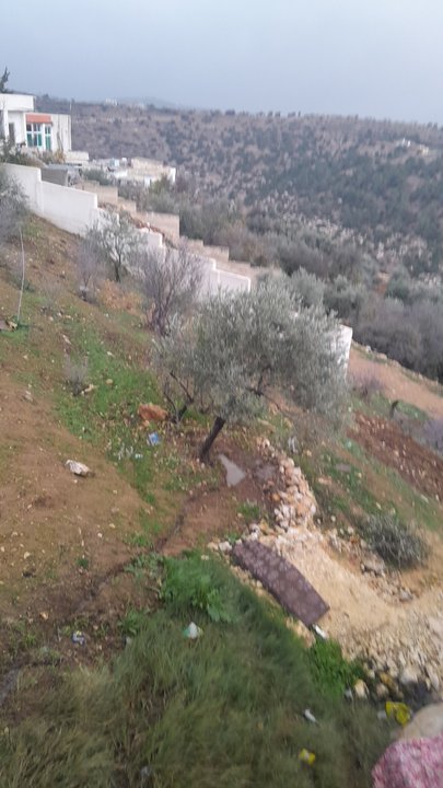 مشاركاتي في أنت الراصد