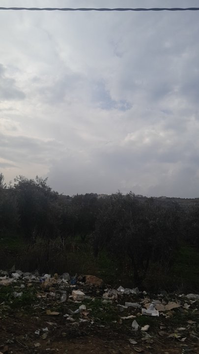 مشاركاتي في أنت الراصد