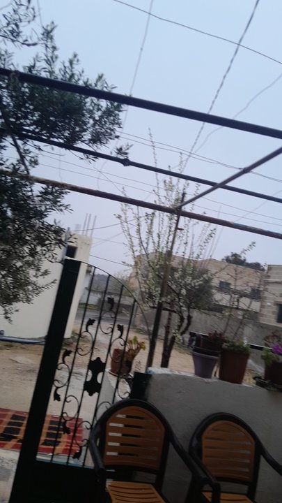 مشاركاتي في أنت الراصد