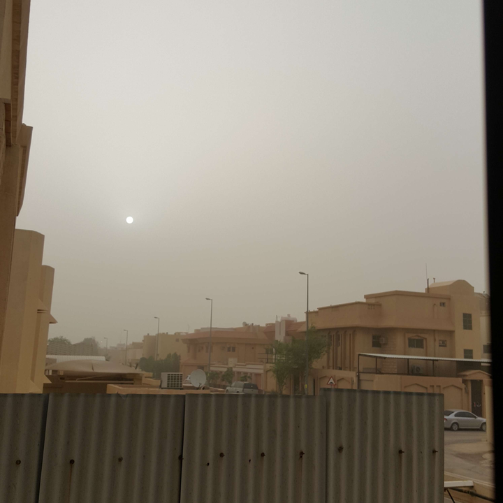 مشاركاتي في أنت الراصد