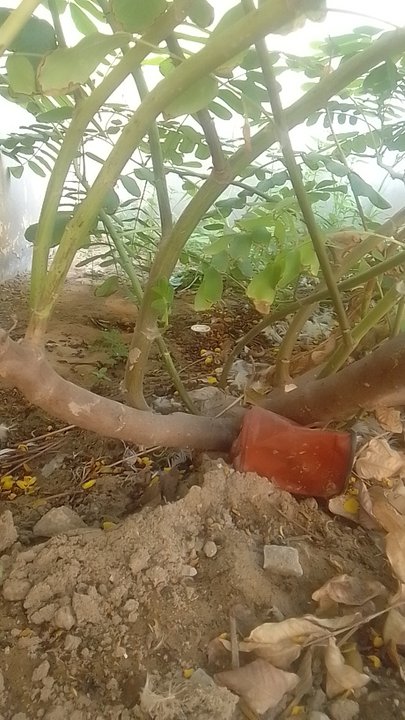 My Crowdsourcing Posts