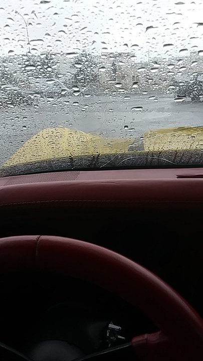 مشاركاتي في أنت الراصد