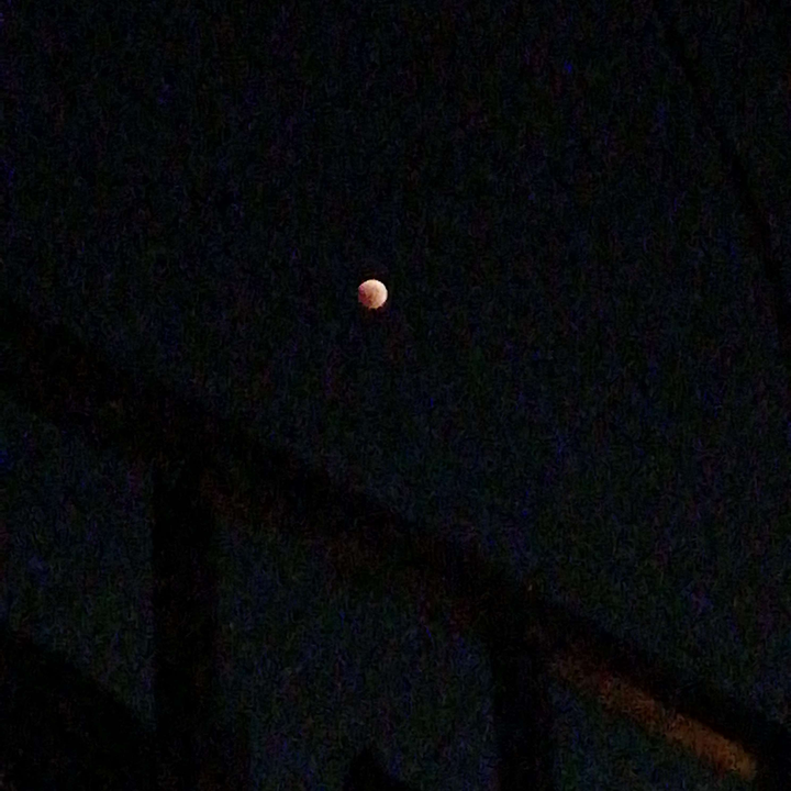 My Crowdsourcing Posts