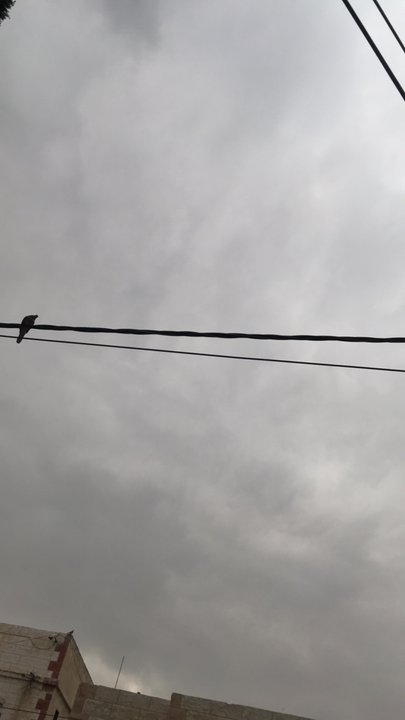 مشاركاتي في أنت الراصد