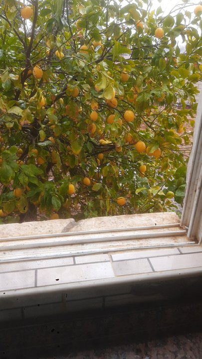 مشاركاتي في أنت الراصد