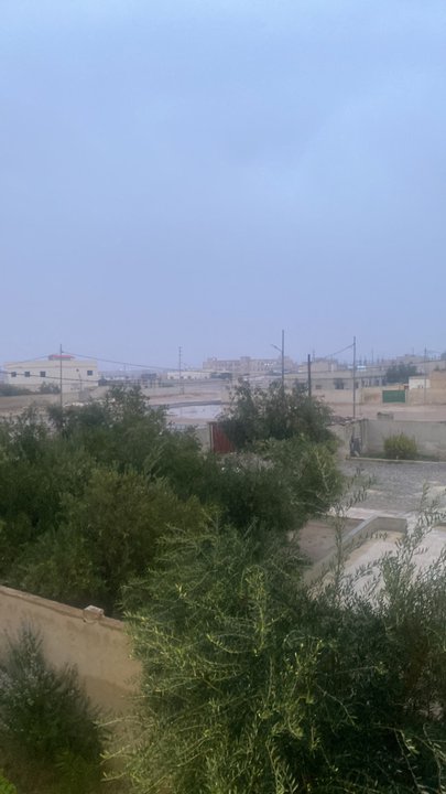 مشاركاتي في أنت الراصد