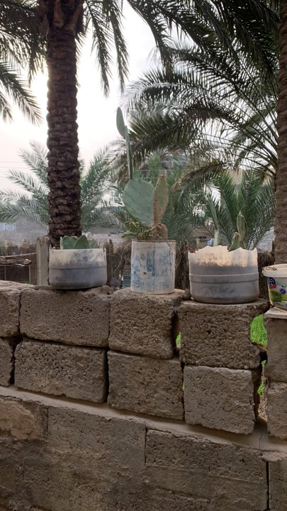 My Crowdsourcing Posts