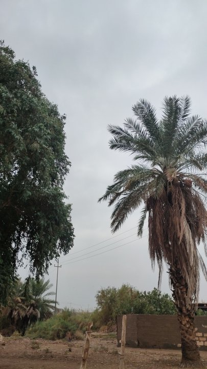 My Crowdsourcing Posts